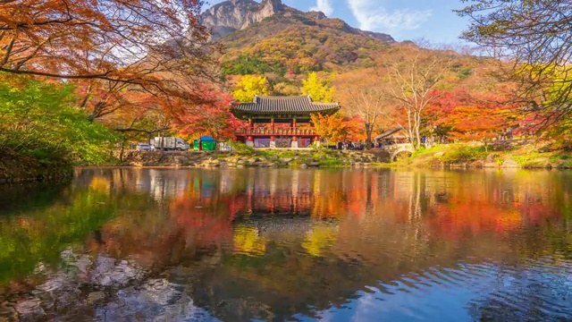 时间流逝白江寺秋天，韩国Naejangsan公园。视频下载