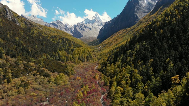 中国亚丁自然保护区秋季山谷的4k鸟瞰图和推车。视频素材