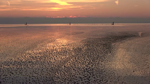 瓦登海边浪漫的日落，低潮，北海视频素材