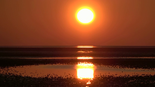 瓦登海边浪漫的日落，低潮，北海视频素材