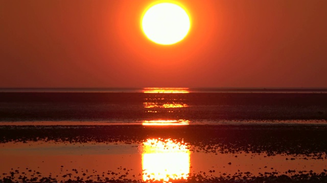 瓦登海边浪漫的日落，低潮，北海视频素材