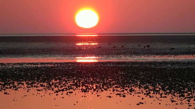 瓦登海边浪漫的日落，低潮，北海视频素材