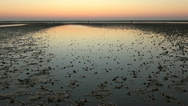 瓦登海边浪漫的日落，低潮，北海视频素材