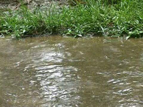 包括雷暴声音视频素材