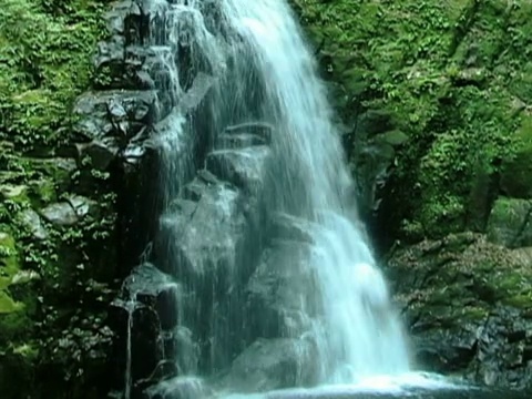 日本山林中的瀑布视频素材