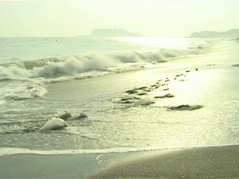 下午的波浪(高音)视频下载