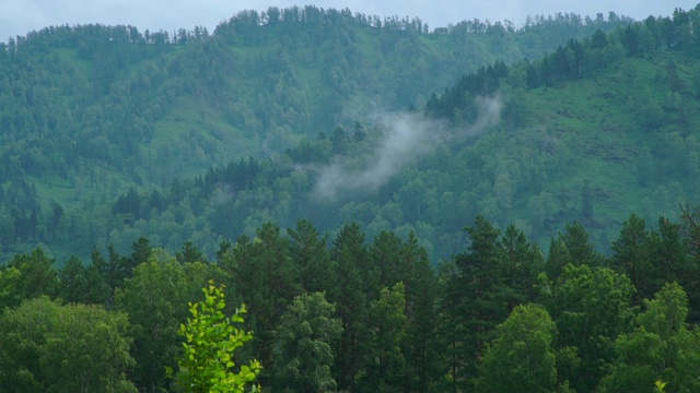 夏日阿尔泰山景视频素材