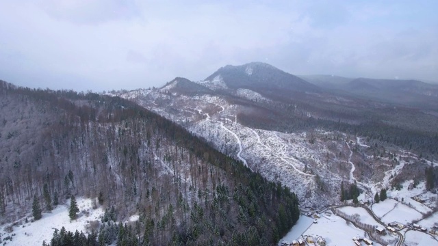 空中飘雪的冬季美景视频素材