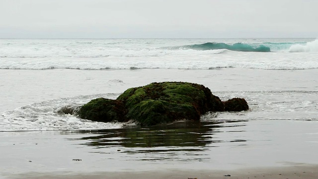 被绿色植物覆盖的海滩上的海浪和岩石视频素材