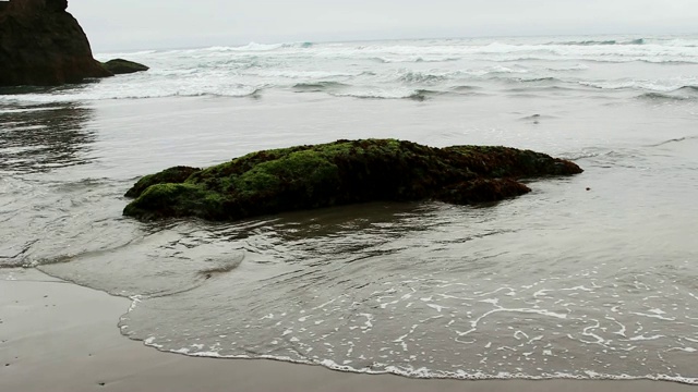 被绿色植物覆盖的海滩上的海浪和岩石视频素材