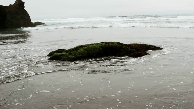 被绿色植物覆盖的海滩上的海浪和岩石视频素材