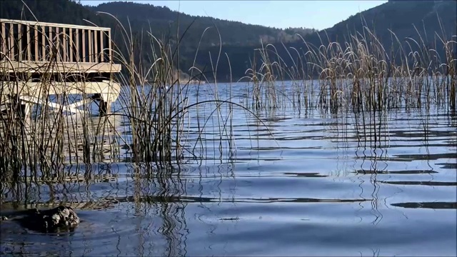 湖的风景视频素材