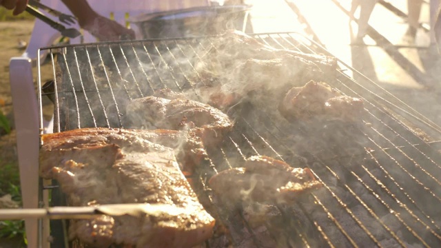 一群朋友在海滩上烧烤猪肉、虾和海鲜聚会活动视频素材