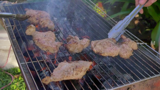 一群朋友在海滩上烧烤猪肉、虾和海鲜聚会活动视频素材