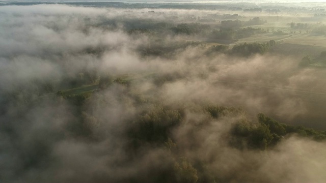 田野和树林上空的雾云，日出的时间，空中视频素材