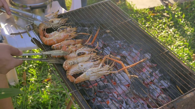 一群朋友在海滩上烧烤猪肉、虾和海鲜聚会活动视频素材