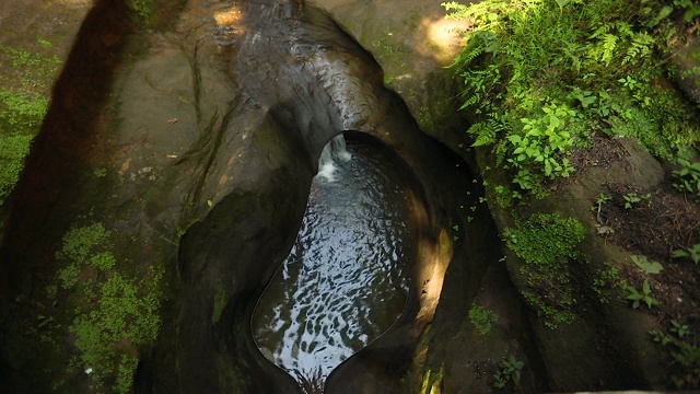 霍金山州立公园视频素材