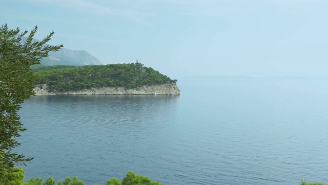 克罗地亚地中海沿岸，透过绿色云杉的海景视频素材