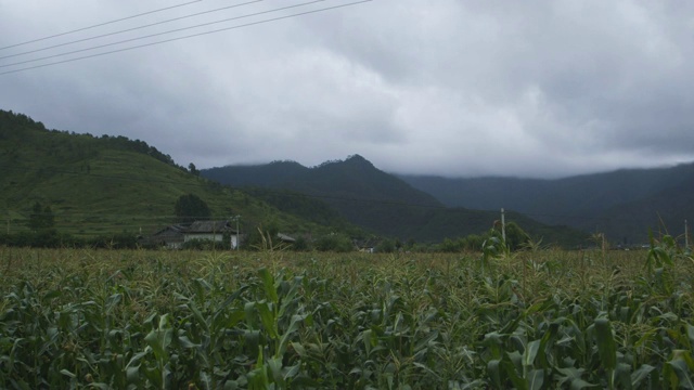 喜马拉雅山泸沽湖地区的农田，宽镜头视频素材