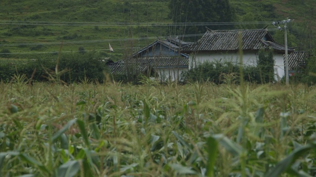 盘山农田横跨喜马拉雅泸沽湖地区视频素材