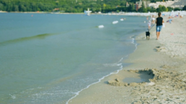 夏日海岸视频素材