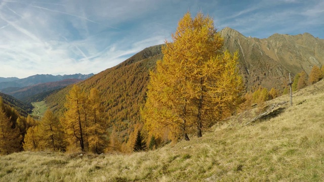 意大利特伦蒂诺中山区山谷景观视频素材