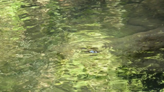 水流过河流，撞击岩石，造成涟漪视频素材