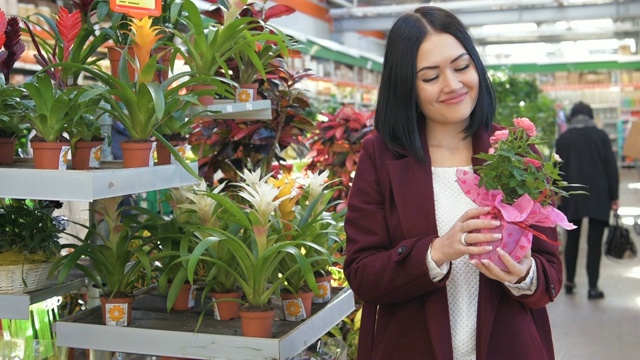 女人在商店里挑选鲜花。超市植物部，家庭主妇为家庭室内装饰寻找花盆花。慢动作视频素材