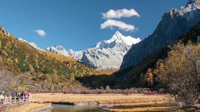 亚丁自然保护区松林中金色草甸与神山查纳多杰的延时摄影视频素材