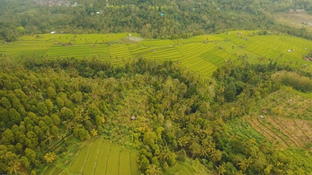 景观与水稻梯田巴厘岛，印度尼西亚视频素材