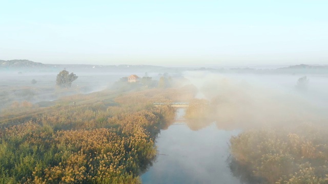 日出在田野中央一条雾蒙蒙的河上视频素材