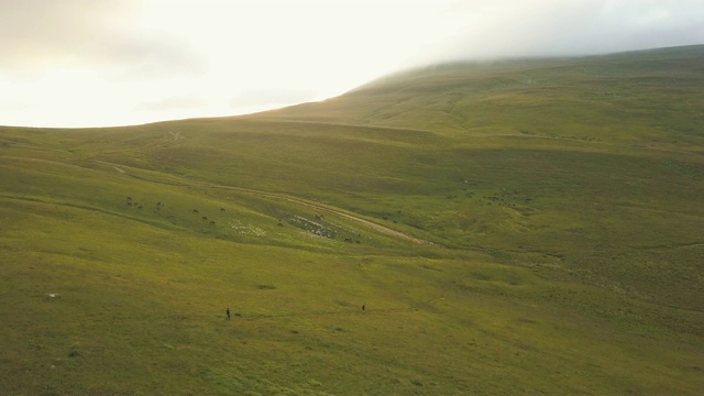 美丽的夏季草地和田野在山谷鸟瞰图视频素材