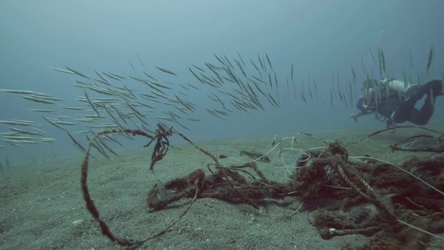 潜水者在海底游泳在鱼和溺死的绳索和电线之间视频素材