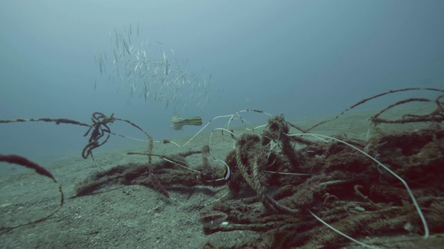 鱼游泳之间的溺缆和海底电线水下视图视频素材