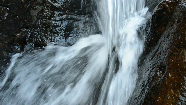 水落在森林中的河流上视频素材