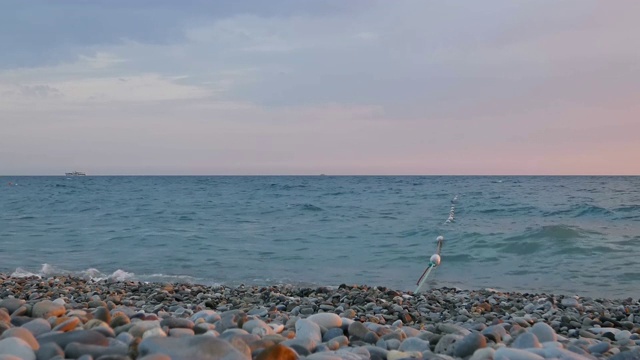 海边的夏日黄昏视频素材