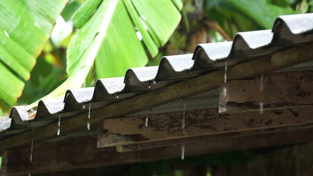 小雨从旧屋顶滴落下来视频素材