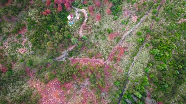 森林营地鸟瞰图视频素材