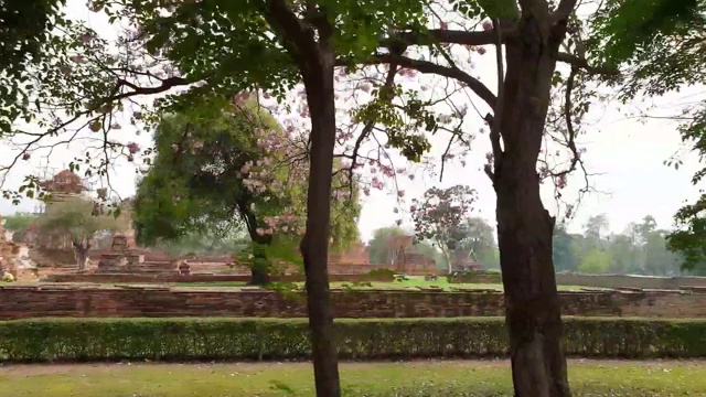 位于泰国大城府的佛寺世界遗产，建于泰国大城府早期视频素材