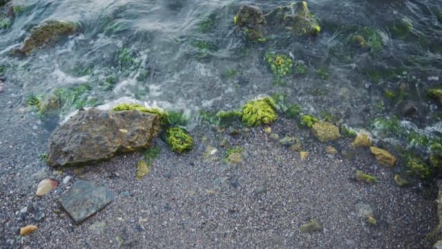 海浪冲击着长满苔藓的岩石。缓慢的运动。视频素材