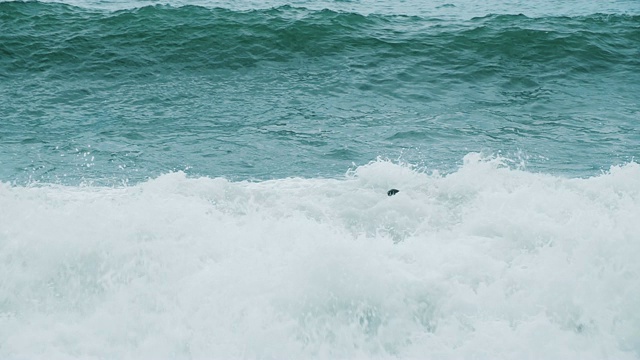 快乐滑稽的人是在暴风雨中沐浴在大海上的浪花中，慢镜头视频素材