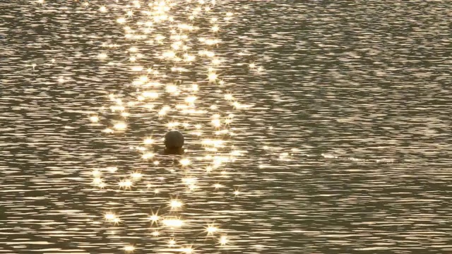 泰国清迈，湖水倒影视频素材