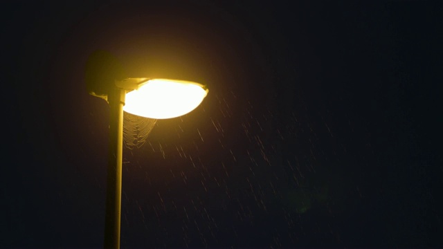 雨夜。孤独的路灯柱视频素材