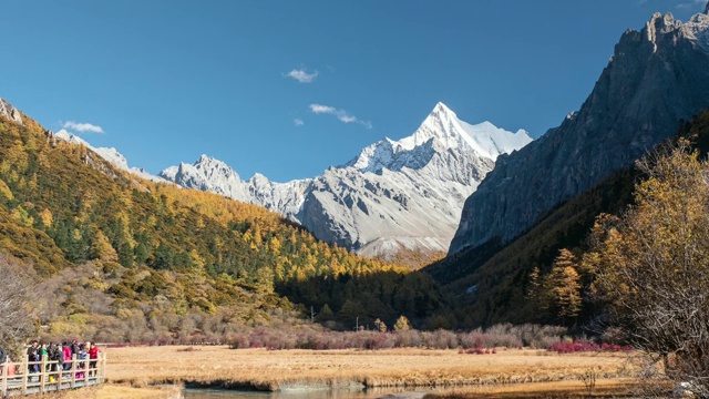 亚丁自然保护区松林中金色草甸与神山查纳多杰的延时摄影视频素材