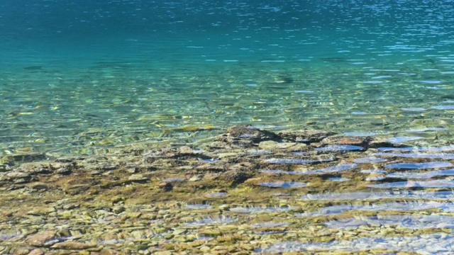 海水在海滩上荡漾的运动特写视频素材