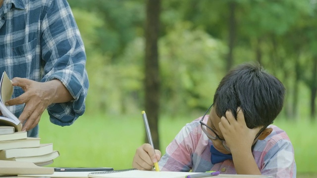 男孩带着严肃的情绪做作业。有教育观念的人。视频素材