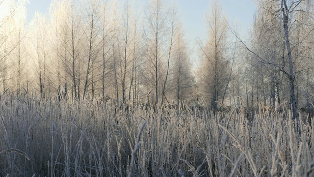 雪地里的干草。干草的圆锥被雪片覆盖着。视频素材