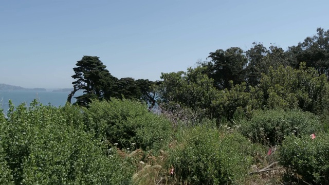 自行车手和金门大桥，来自金门欢迎中心，旧金山，加州，美国，北美视频素材