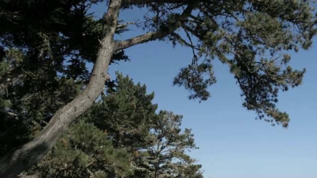 俯瞰岩石岬角和太平洋近半月湾，加利福尼亚州，美国，北美洲视频素材