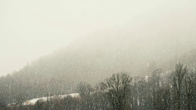 山上大雪纷飞，雪林连绵，动作缓慢。视频素材